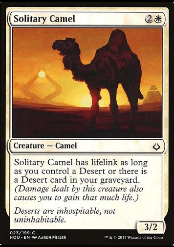Solitary Camel (Einsames Kamel)